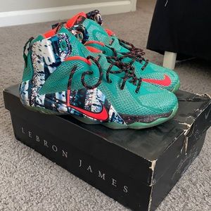 Lebron 12s (GS)